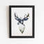 Elk Canvas Art Print with Black Photo Frame