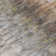 Machine Washable Indoor/Outdoor Bingel ACN2319 Casual Rug