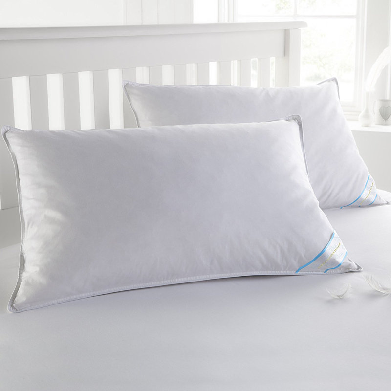 BeautySleep 2 Pack Feather Cotton Pillow Set, Standard/Queen - 2 pack