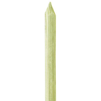 Peterman Plant Support