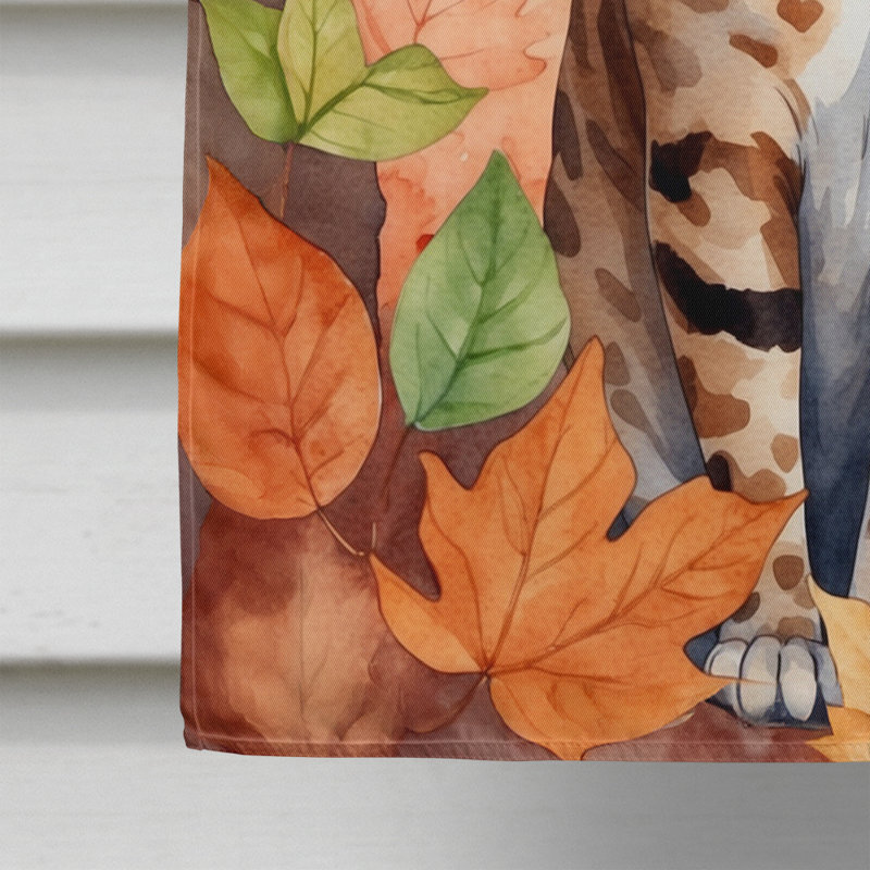 Chat en feuilles d'automne, Oci