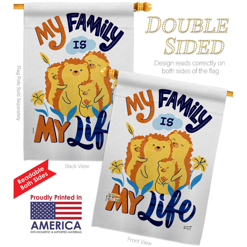 Double Sided 40'' H x 28'' W Polyester House Flag