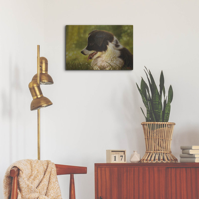«Border Collie Garden» par John Silver, H 16 po x l 24 po