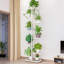 Plant Stand-50357862