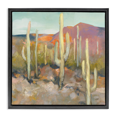 Soft Cactus Desert Landscape