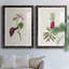 Pretty Pink Botanicals VI - Ensemble de 2 reproductions de cadres photo-1481787813-1481787814