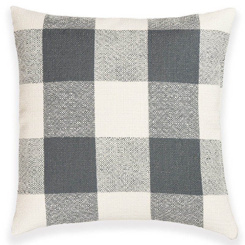 Coussin Birch Lane Cleveland, Bleu à carreaux, Plume, Carré 20 po