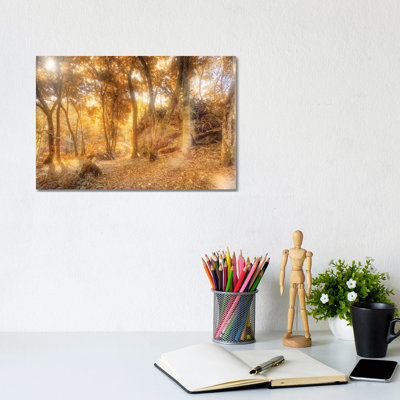Tropical Forest XXIV - Wrapped Canvas Print