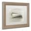 Cadre photo « sea escargot shells », reproduction de photo sur toile-32709852-32709856