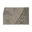 Oriental Area Rug in Brown