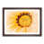 Walnut Single Picture Frame Wood