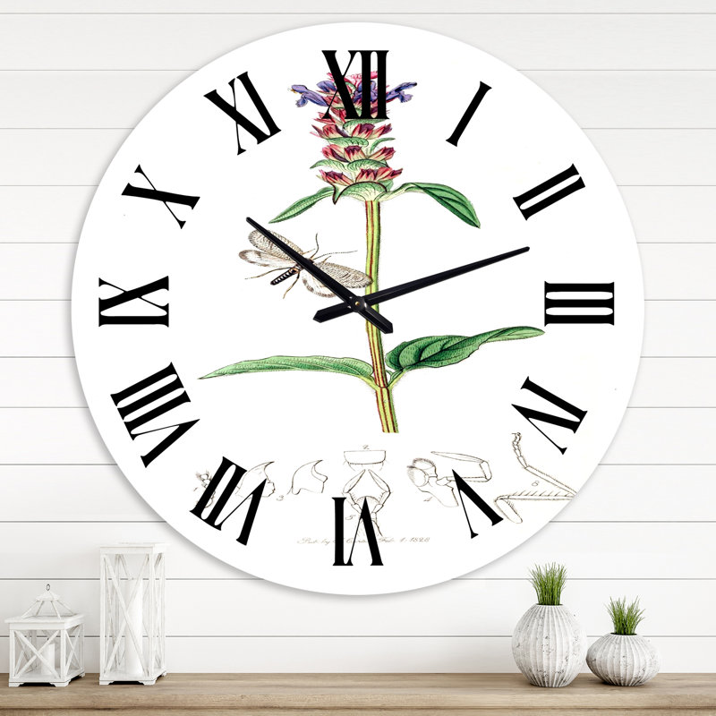 Vintage Insectes and Plants II - horloge murale maison de campagne, Grand