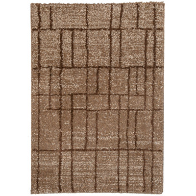 Risher Geometric Shag 120cm X 170cm Area Rug