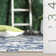 Amedee Performance Floral Indoor/Outdoor Area Rug