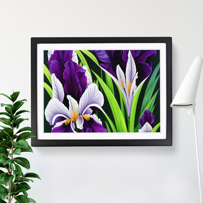 XH1022-6107X Modern Iris Flowers Vol.1 - Single Picture Frame Print, Black, 46cm H x 64cm W x 2cm D