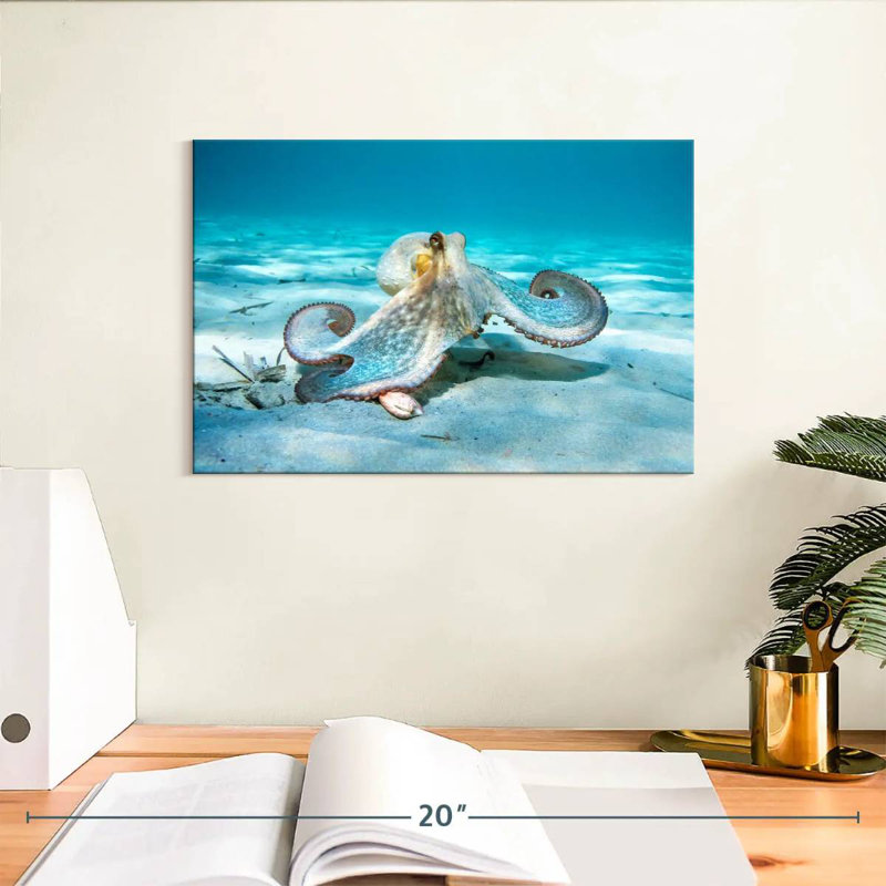 Crowle Rooping Octopus, H 8 po x l 12 po