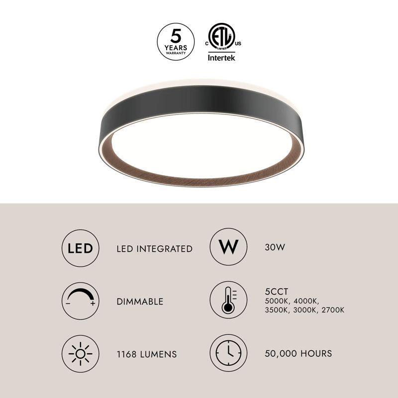 Essex 1 - Light LED Flush Mount, Black/Gold