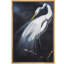 Dark Moody Bird Animal-102453696-102453692