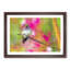 Hummingbird - Framed Print-55579136-55579137