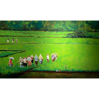 Green pady of Kerala