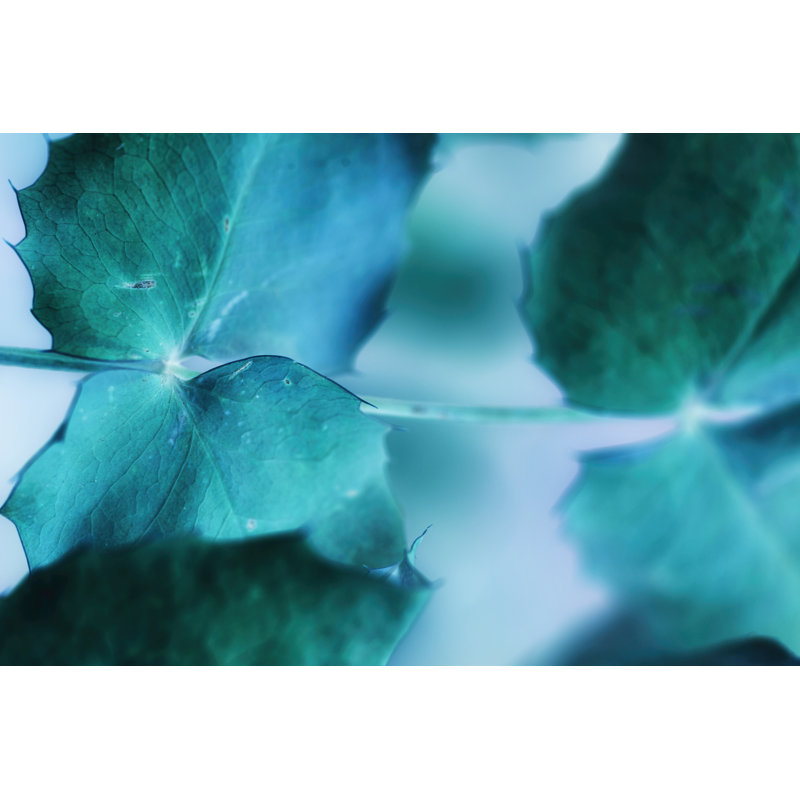 Intricacies I by Teton Parchment - Wrapped Canvas Print, 30cm H x 46cm W x 3.8cm D