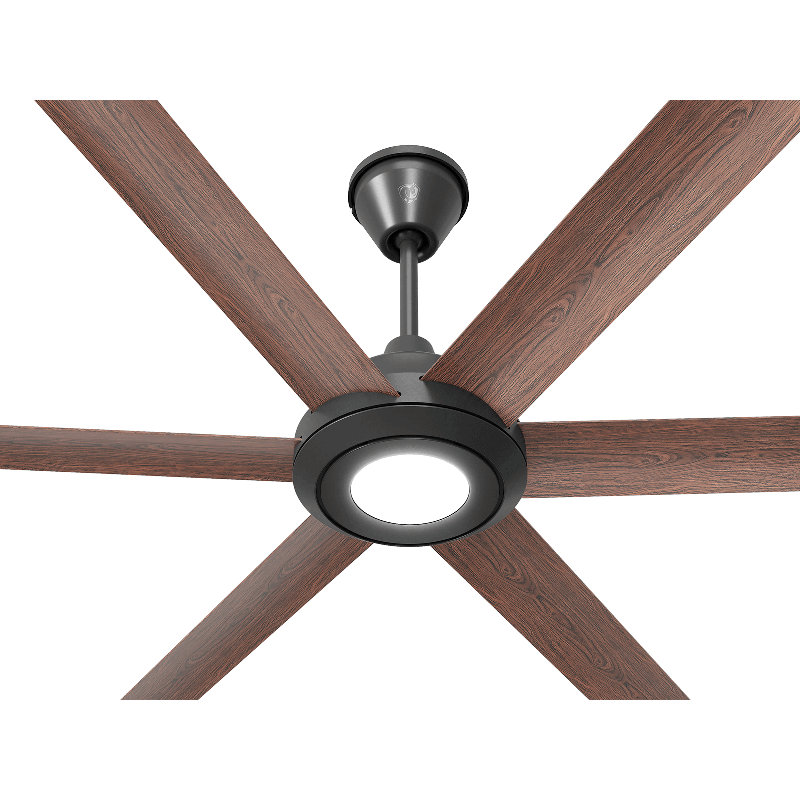 Bison Ceiling Fan, Black, LED, 72" Wide