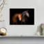 Duo de chevaux Brampt-106052226