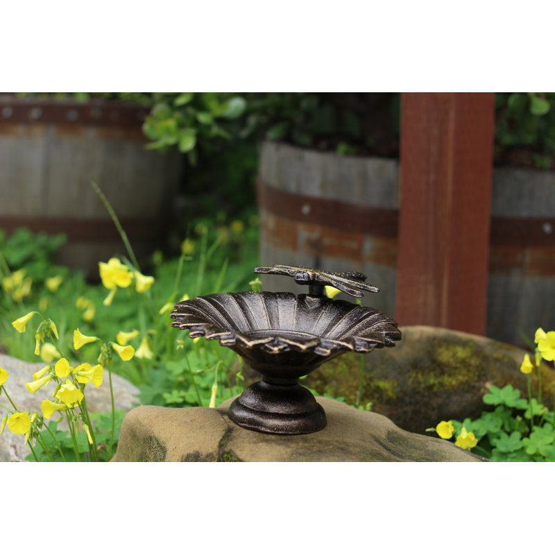 Bain d’oiseaux de table Bergson