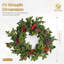 Polyethylene Wreath-1047043529