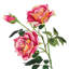 Fleur artificielle rose-1937437254