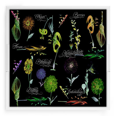 Plateau décoratif carré en acrylique Botanicals Xray