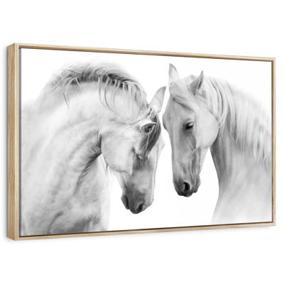 Couple de chevaux blancs