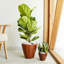 Jardinière en plastique de style moderne pour l'intérieur et l'extérieur