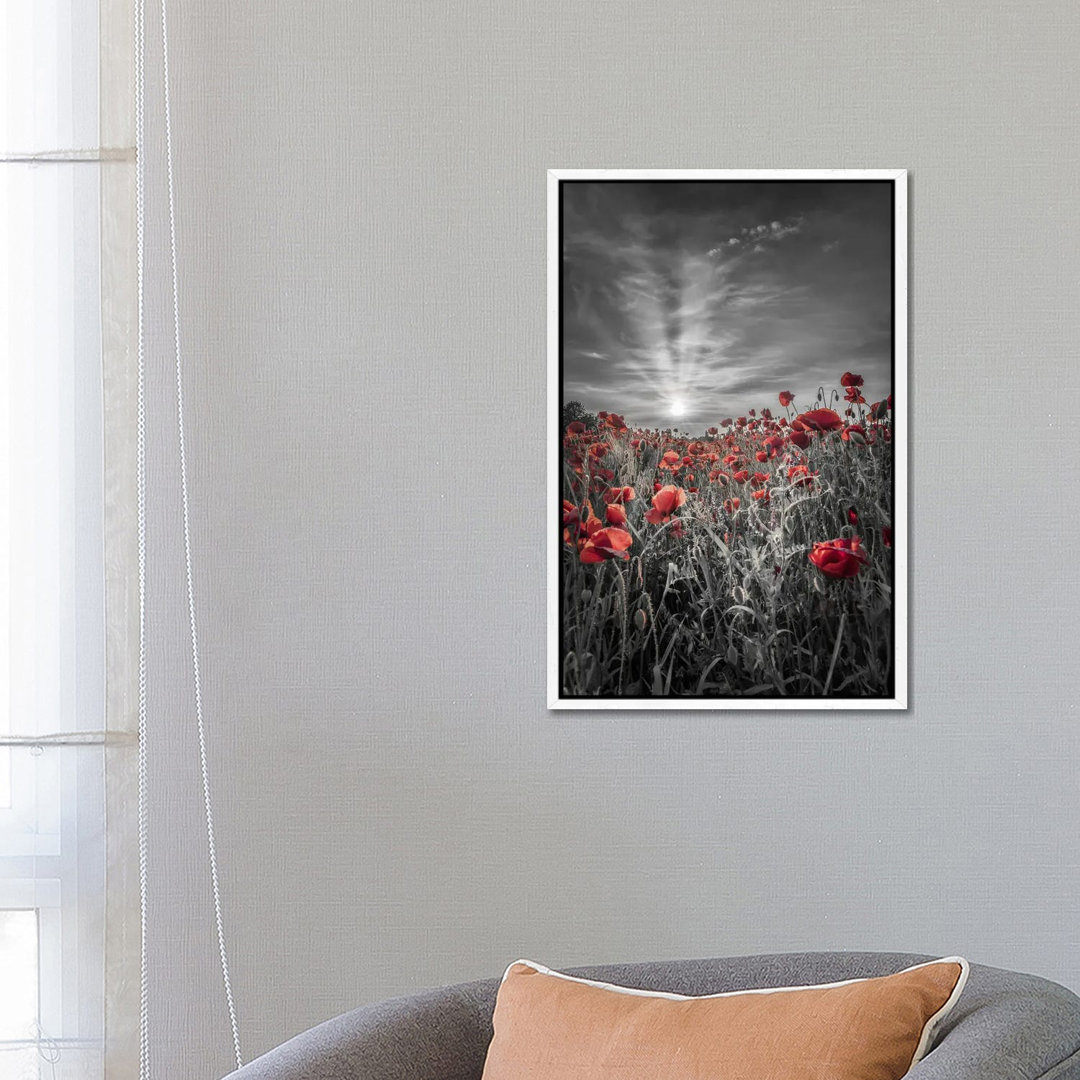 Lovely Sunset In A Poppy Field - Colorkey by Melanie Viola - Gallery-Wrapped Canvas Giclée on Canvas