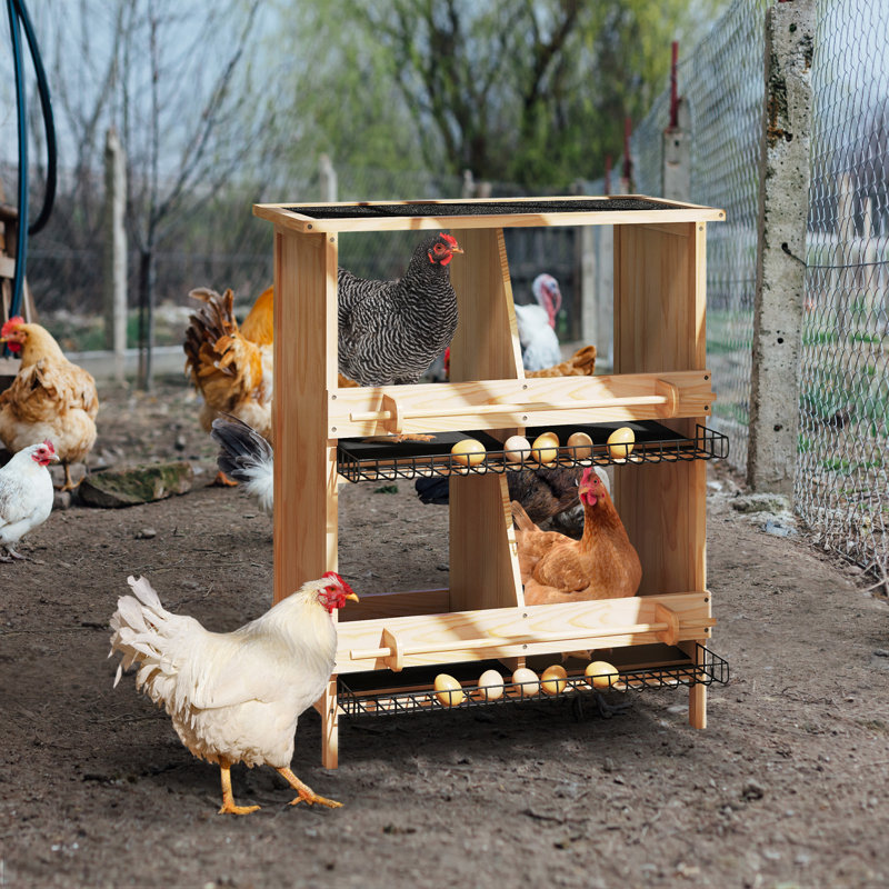 Boîte de nidification à 2 niveaux pour poulets avec toit imperméable, poteaux sur pieds et isolant thermique en coton, pratique pour ramasser les œufs