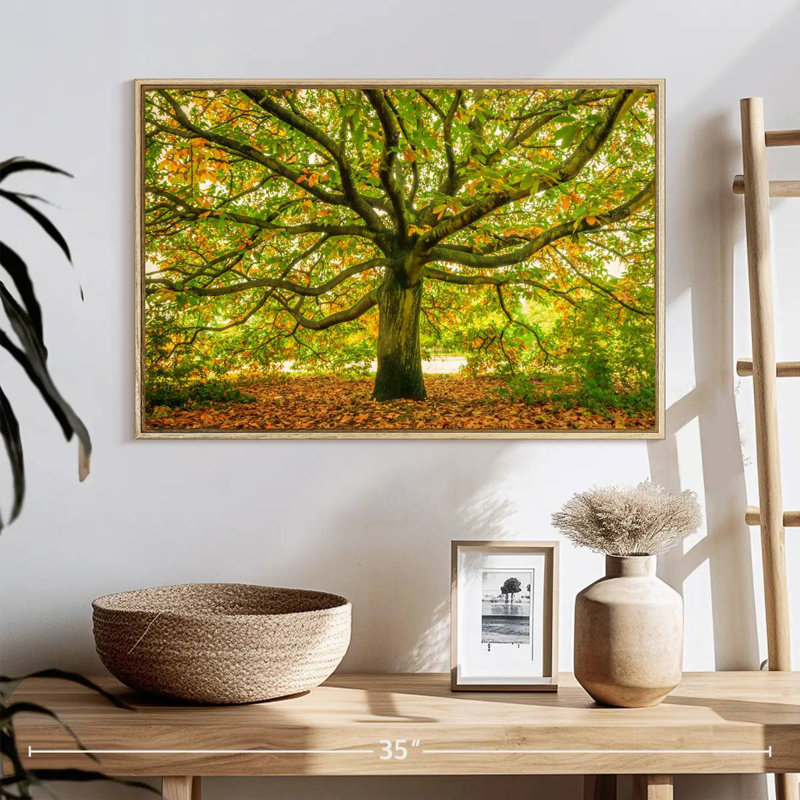 Chêne de Londres, Cadre flottant en bois naturel, 25 po x 17 po