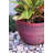 Nil   Pot Planter-680392640