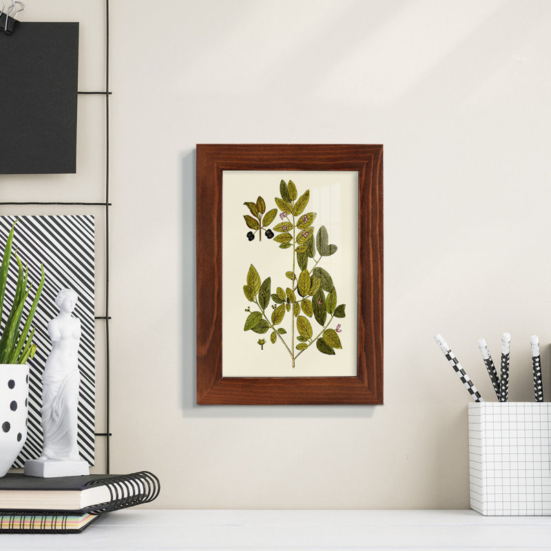 Olive Greenery VII, reproduction d'art encadrée, H 7 po x l 5 po x P 1 po, Châtaigne