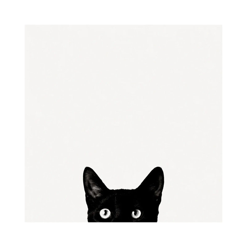 Curiosité - Giclée sur toile tendue avec châssis