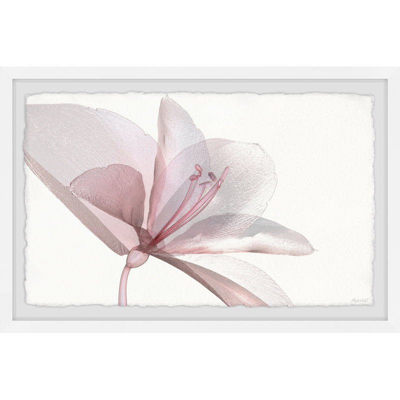 Make Friends by Marmont Hill - Single Picture Frame Painting, 41cm H x 61cm W