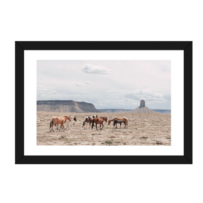 « arizona », photographie, H 16 po x l 24 po x P 1 po, Papier avec cadre noir