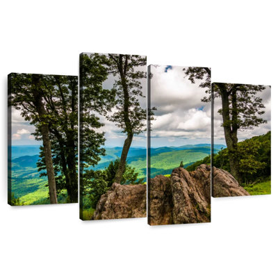 Alvord Blue Ridge Perspectives