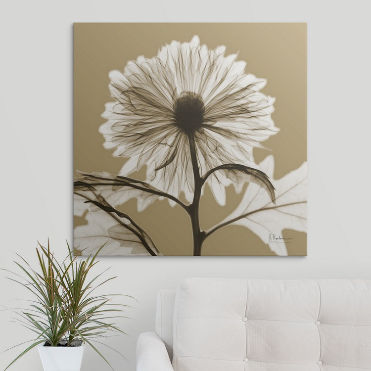 Reproduction de photo de Manigault, sépia chrysanthème X par Kiranjit, H 35 po x l 35 po x P 1,5 po, Toile
