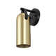Caniah Single Light Iron Dimmable Armed Sconce
