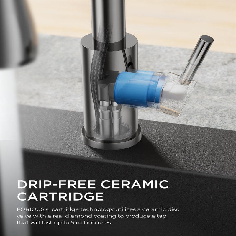 Brayden Studio Caide Kitchen Faucet