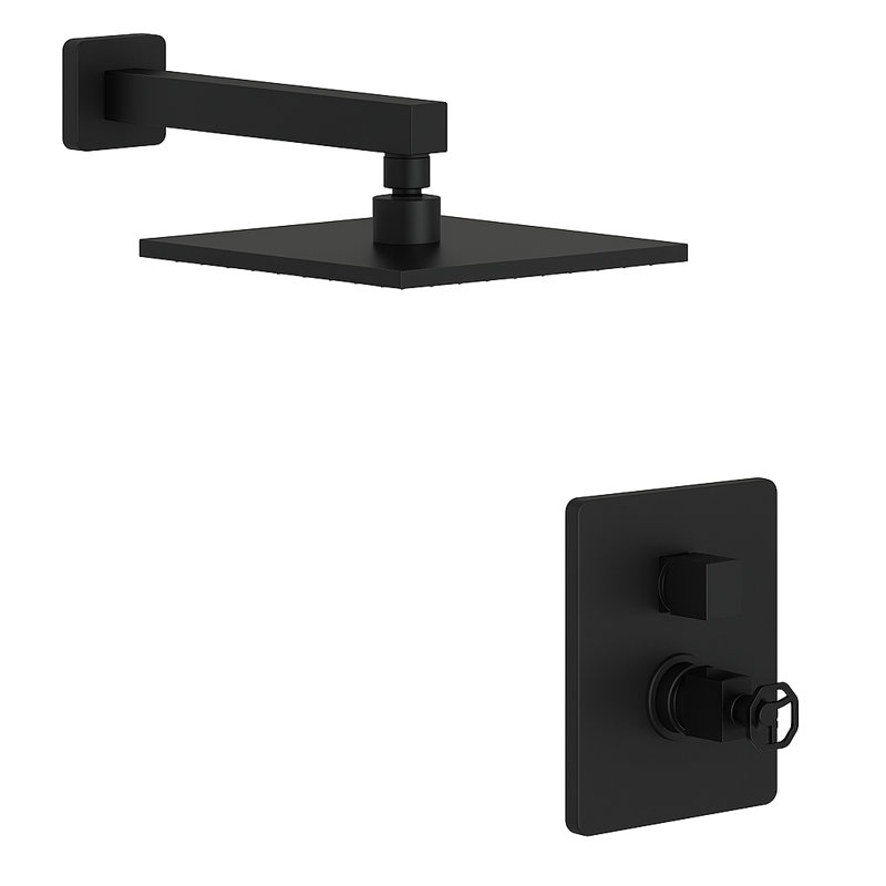 Vitrina Thermostatic Volume Control Shower Head with 8-Inch 1.8 GPM Rain Shower Head, Valve Included, Matte Black
