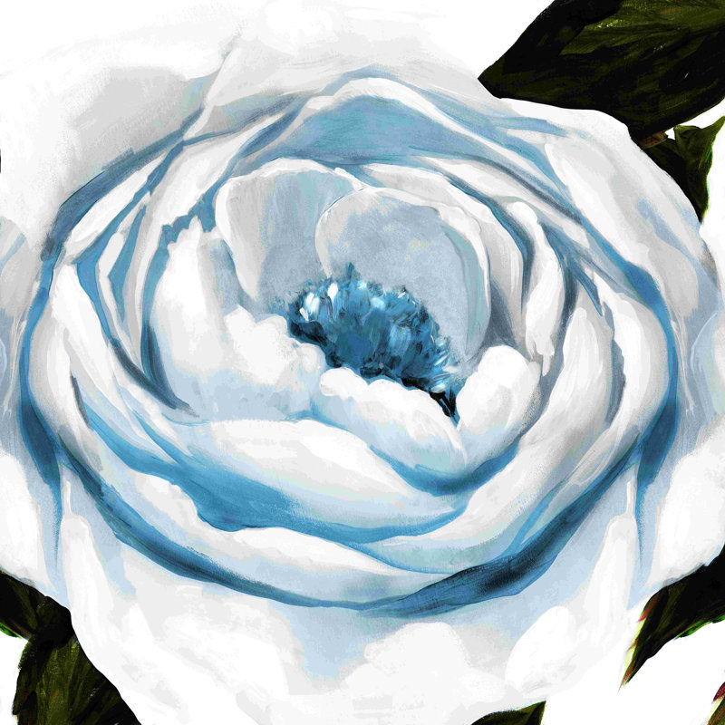 Pivoine bleue, H 12 po x l 12 po