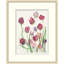 Summer Blooms 1 Framed Print