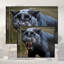 Single Picture Frame LED Illuminated Wall Art Wall Art on Glass / Aluminium-126533752