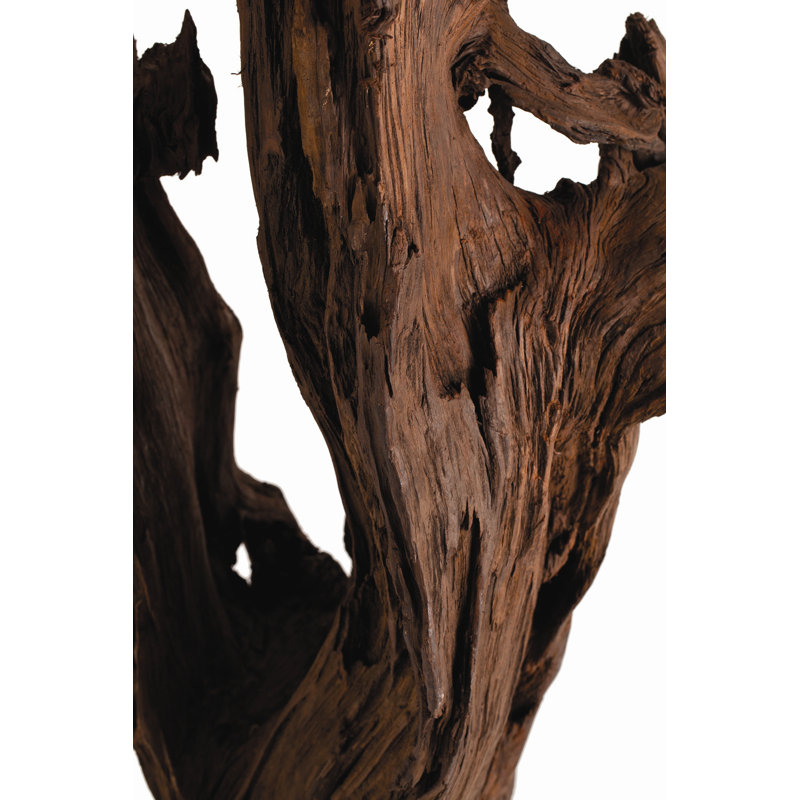 Kazu Dragon Tree Sculpture